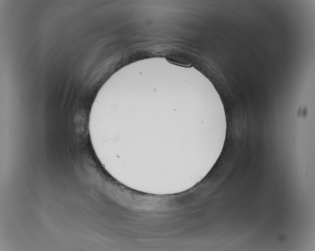 X0000111530044200908111238