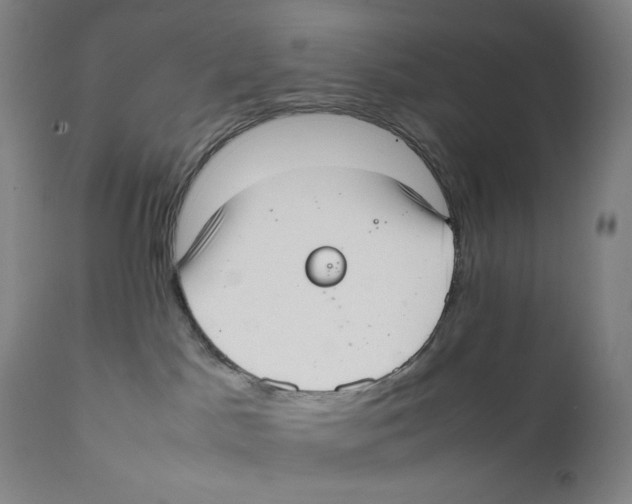 X0000111530045200908111238