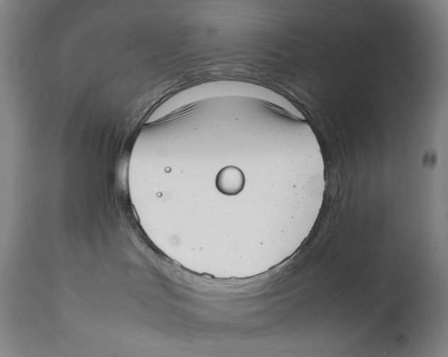 X0000111530047200908111238