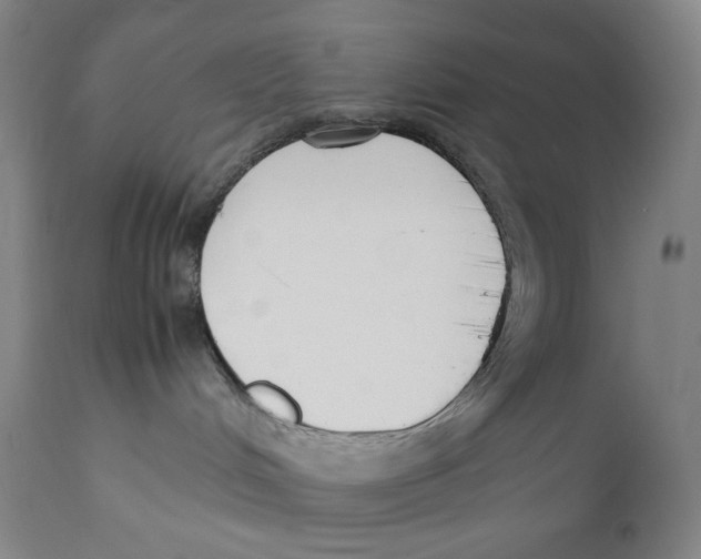 X0000111530048200908111238