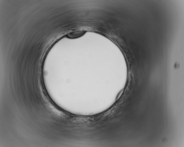 X0000111530049200908111236