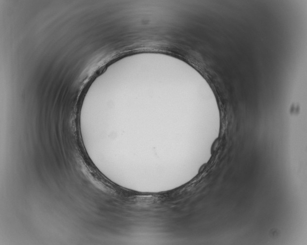 X0000111530050200908111236