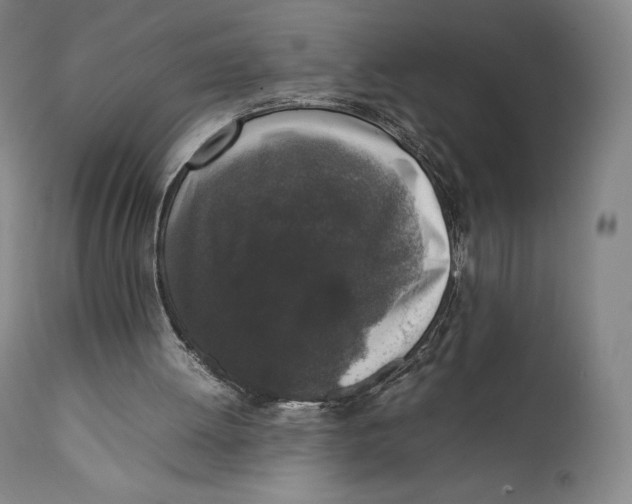 X0000111530052200908111237