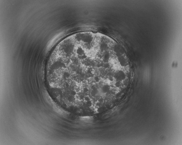 X0000111530053200908111237