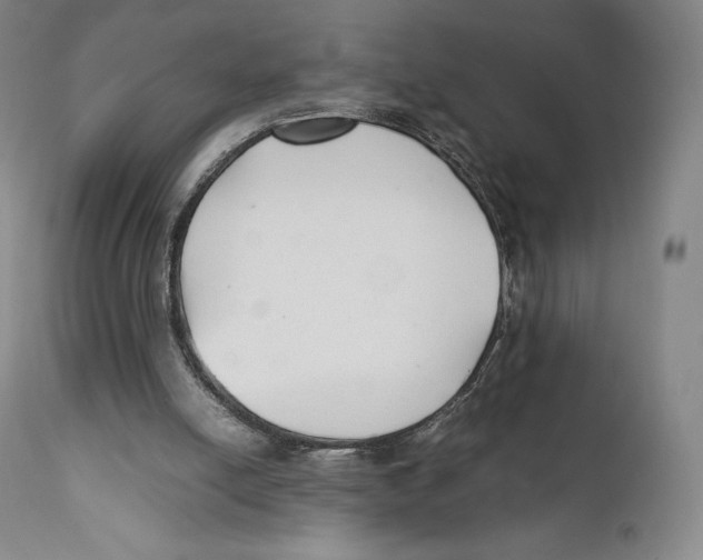 X0000111530054200908111237