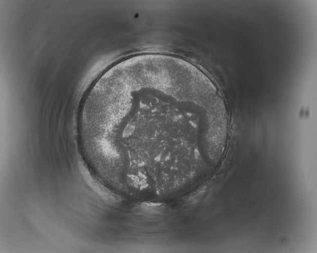 X0000111530055200908111237