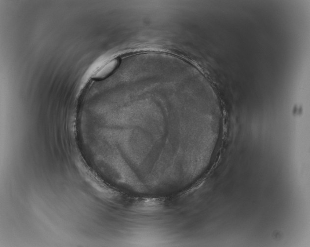 X0000111530056200908111237