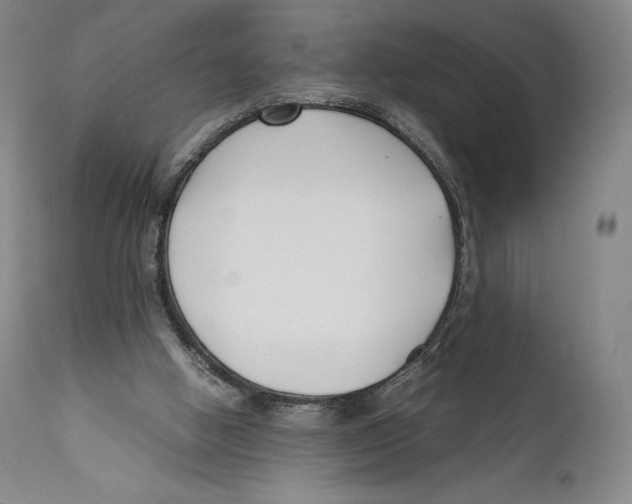 X0000111530058200908111237