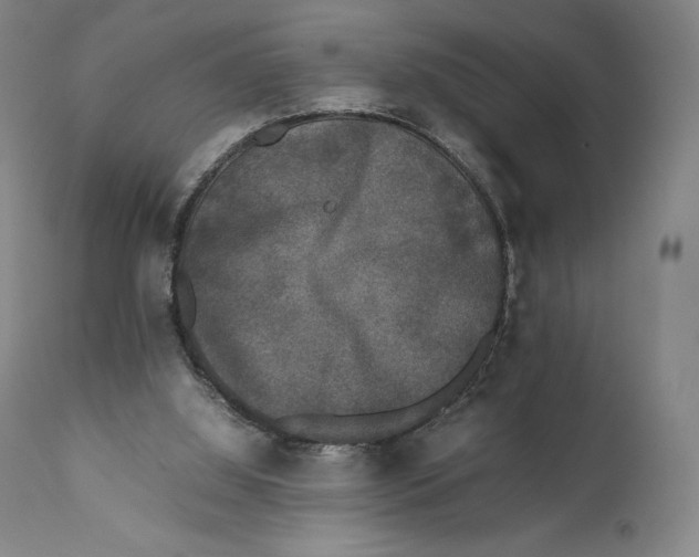 X0000111530060200908111237