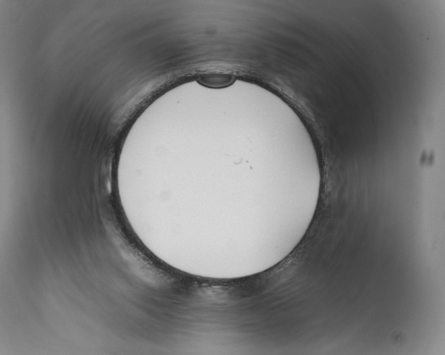 X0000111530062200908111237