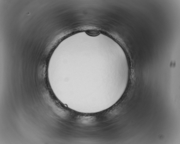 X0000111530063200908111237