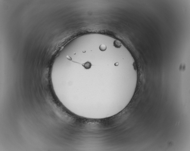 X0000111530066200908111237