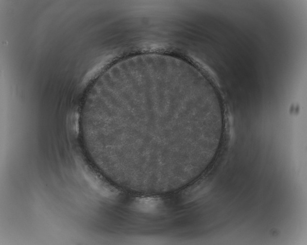 X0000111530067200908111237