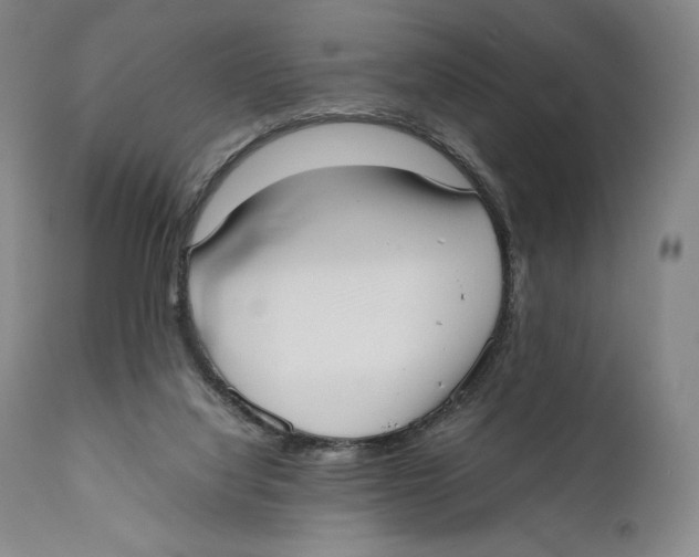 X0000111530068200908111237