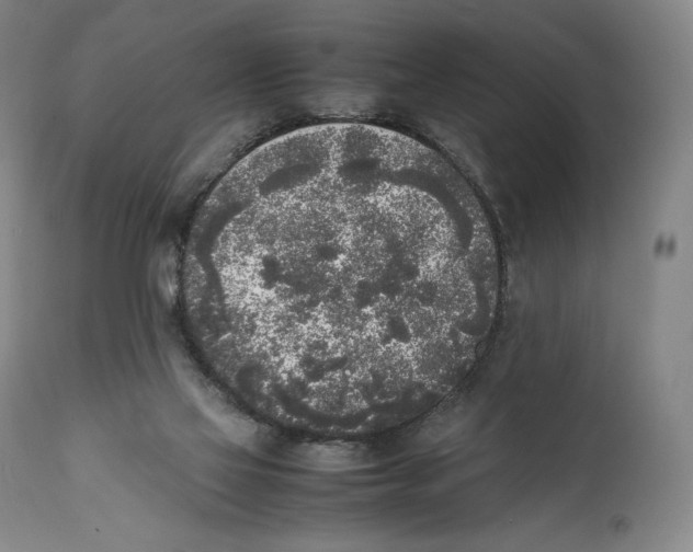 X0000111530069200908111237