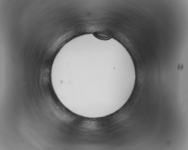 X0000111530071200908111237