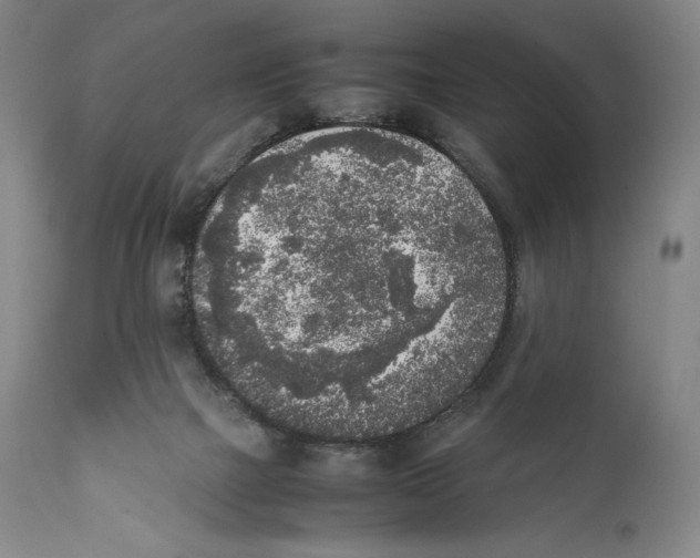 X0000111530073200908111237