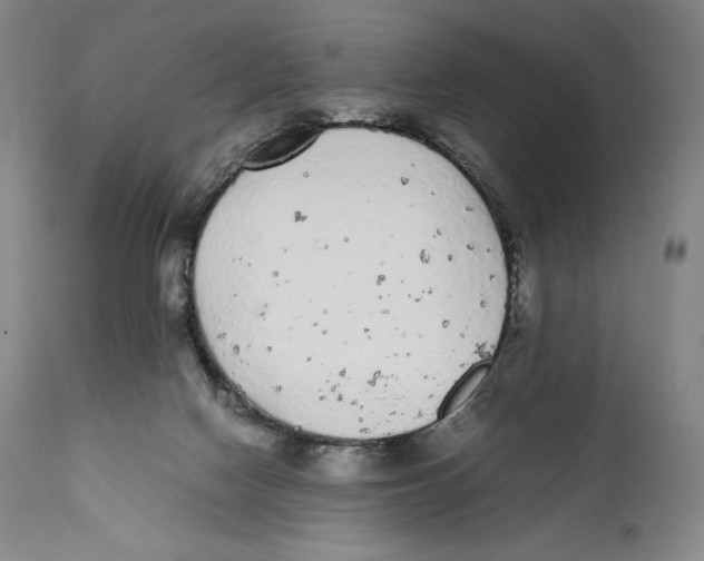 X0000111530074200908111237