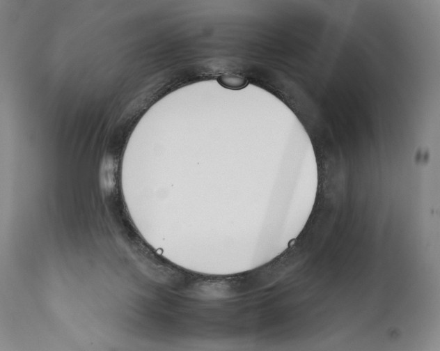 X0000111530075200908111237