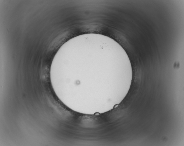 X0000111530077200908111237