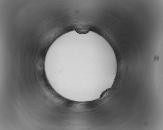 X0000111530078200908111237