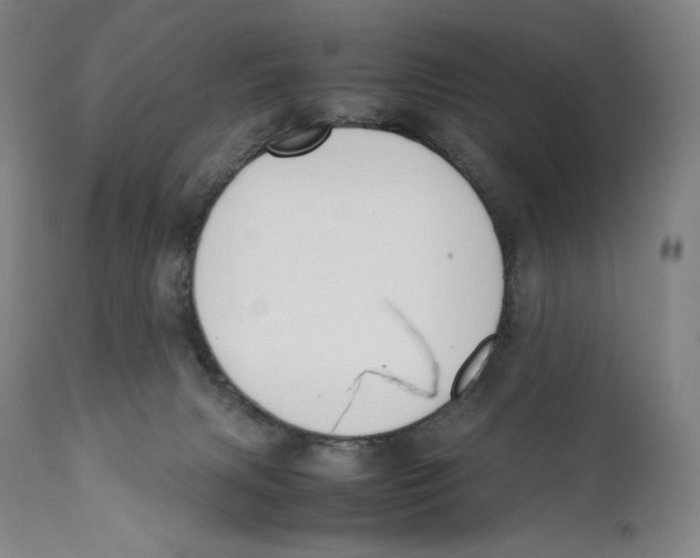 X0000111530079200908111237