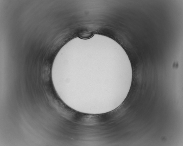 X0000111530082200908111237