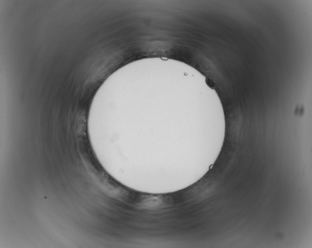 X0000111530083200908111237