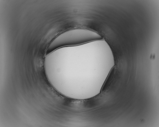 X0000111530084200908111237