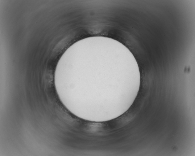 X0000111530085200908111237