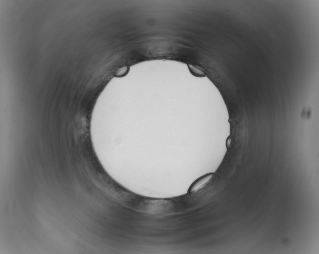 X0000111530087200908111237