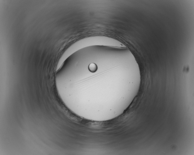 X0000111530088200908111238