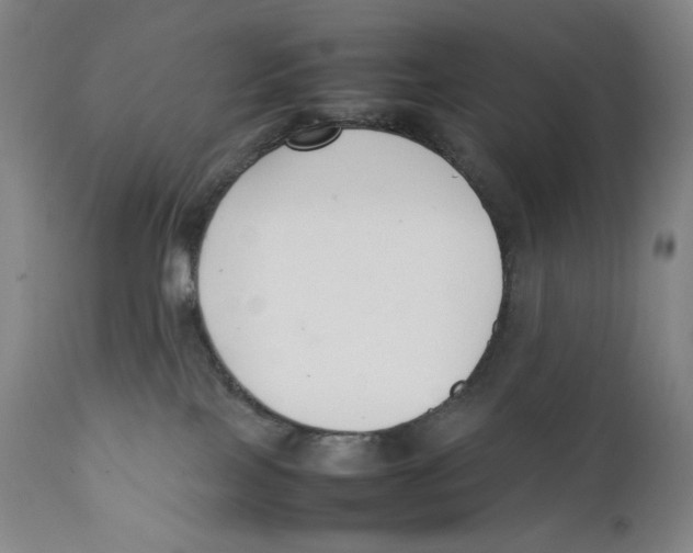 X0000111530089200908111238