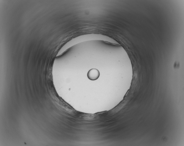 X0000111530096200908111238