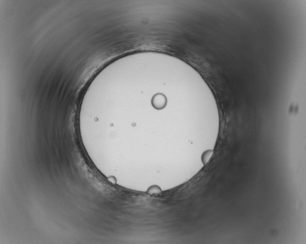 X0000111530098200908111236