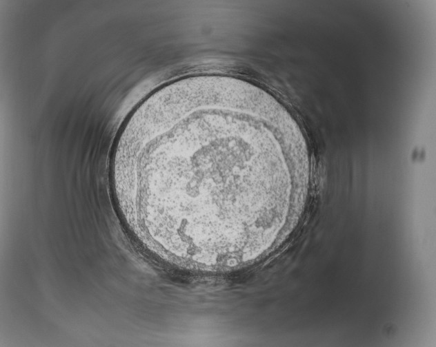 X0000111530099200908111236