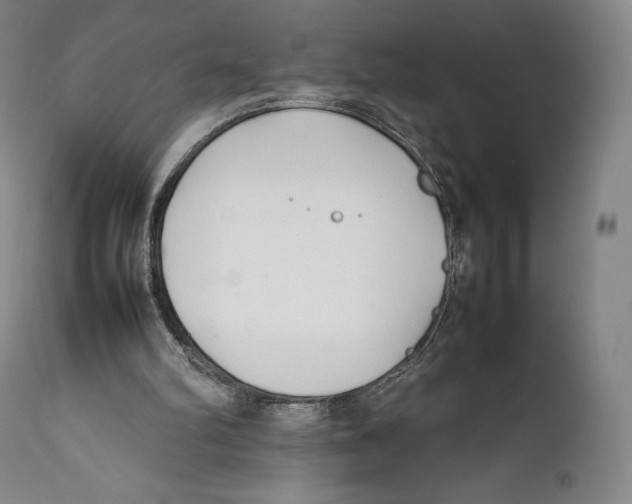 X0000111530102200908111236