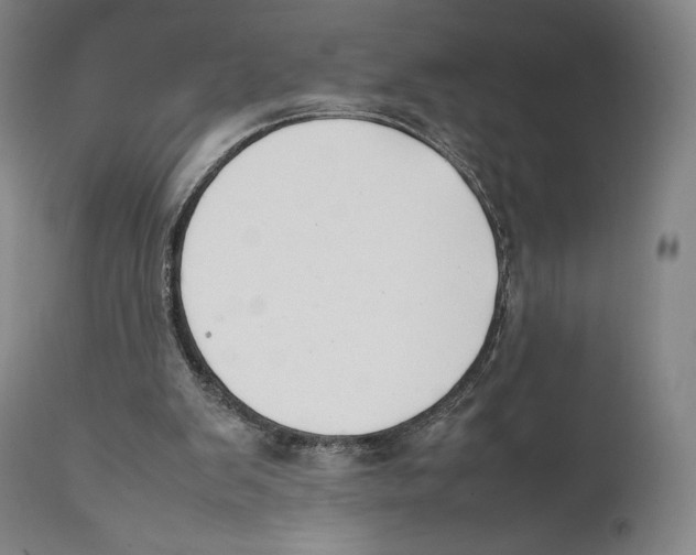 X0000111530103200908111236