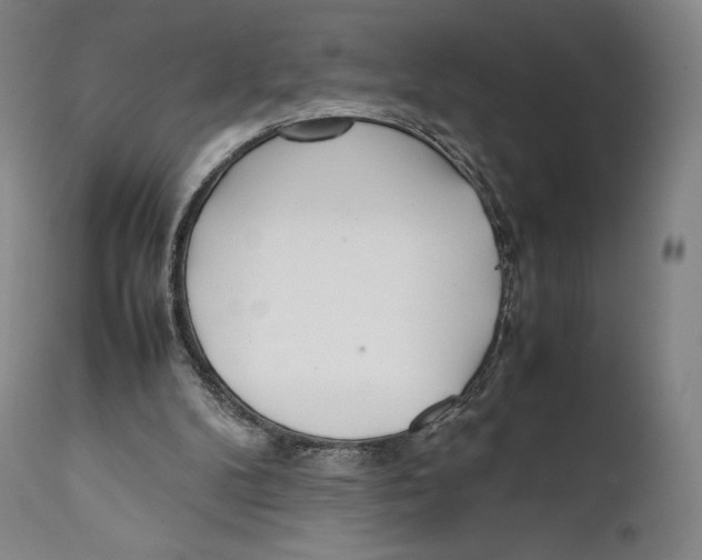 X0000111530104200908111236