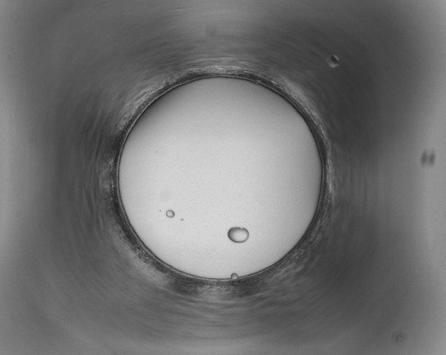 X0000111530105200908111236