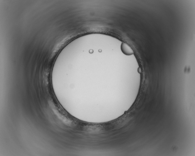 X0000111530106200908111236