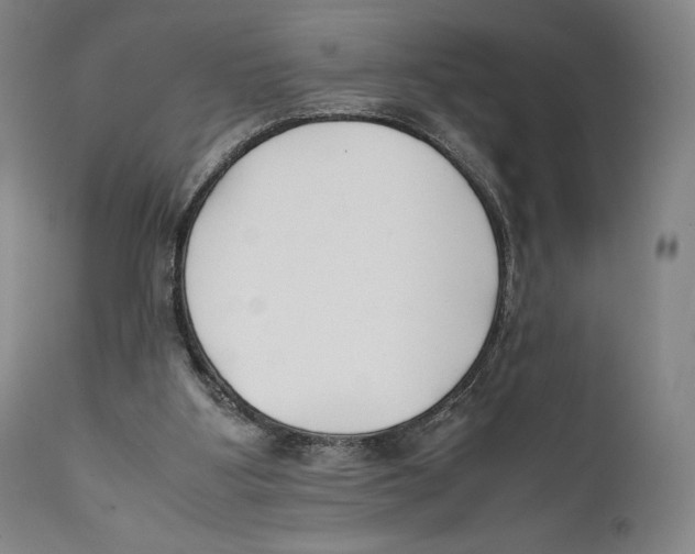 X0000111530107200908111236