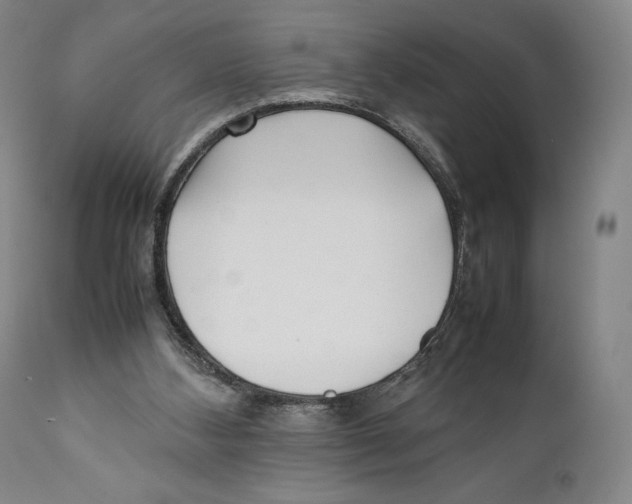 X0000111530108200908111236