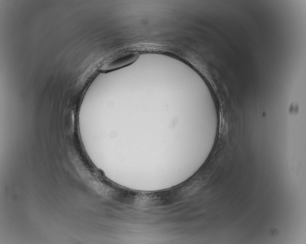 X0000111530109200908111236