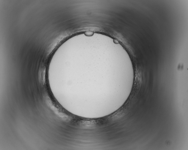 X0000111530110200908111236