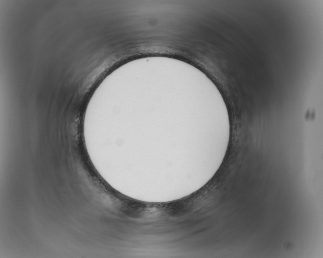 X0000111530111200908111236