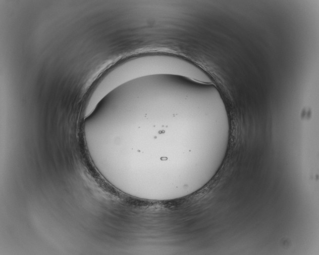 X0000111530112200908111236