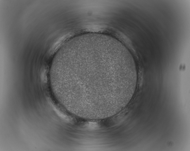 X0000111530114200908111236