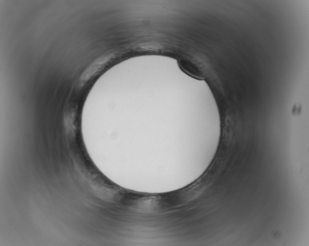 X0000111530116200908111236