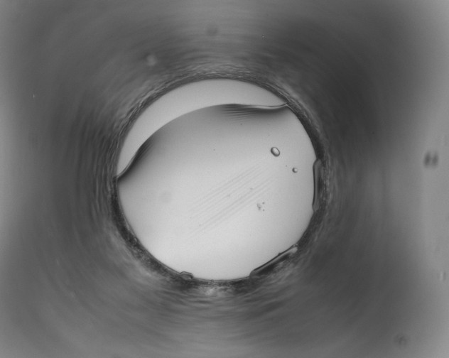 X0000111530117200908111236